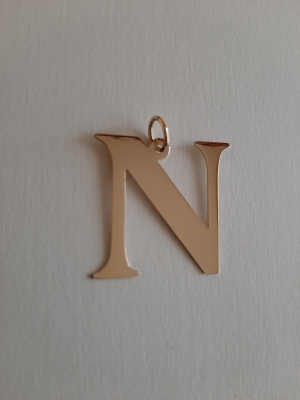 Litera N